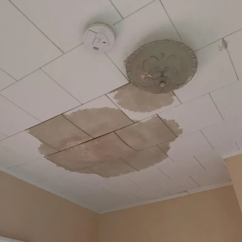 Ceiling Water Damage Repair in Yorktown, TX