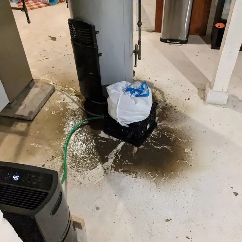 Sewage Backup Cleanup Service in Yorktown, TX